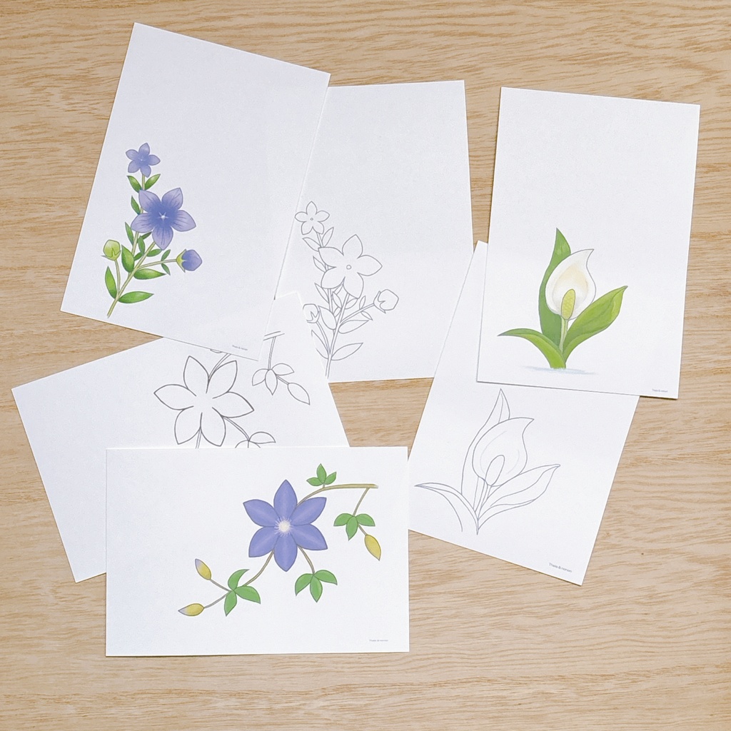 夏の花のポストカードと塗り絵 桔梗・水芭蕉・テッセン 3種×2タイプの6点セット