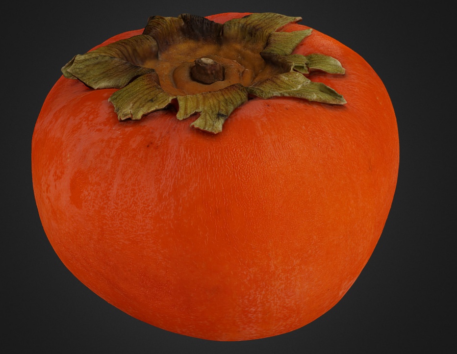 【フォトグラメトリ】柿