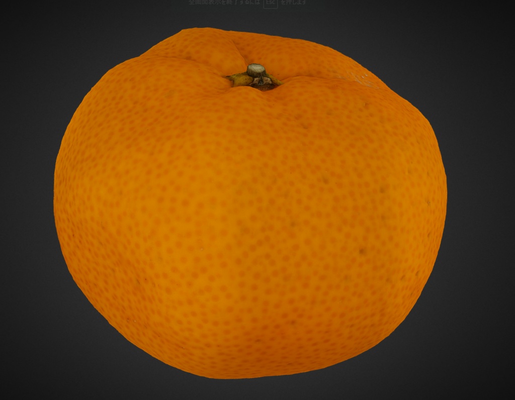【フォトグラメトリ】みかん