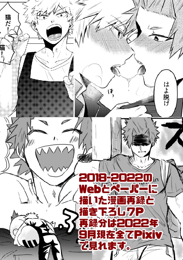 Web&ペーパー再録本 DIGRESS