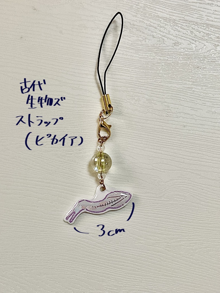 古代生物ｽﾞストラップ(ピカイア)