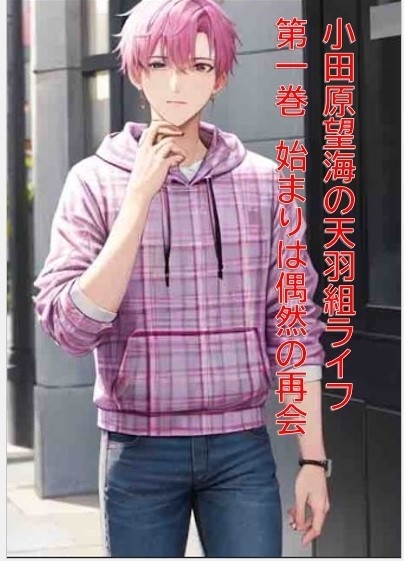 小田原望海の天羽組ライフ　第一巻　始まりは偶然の再会