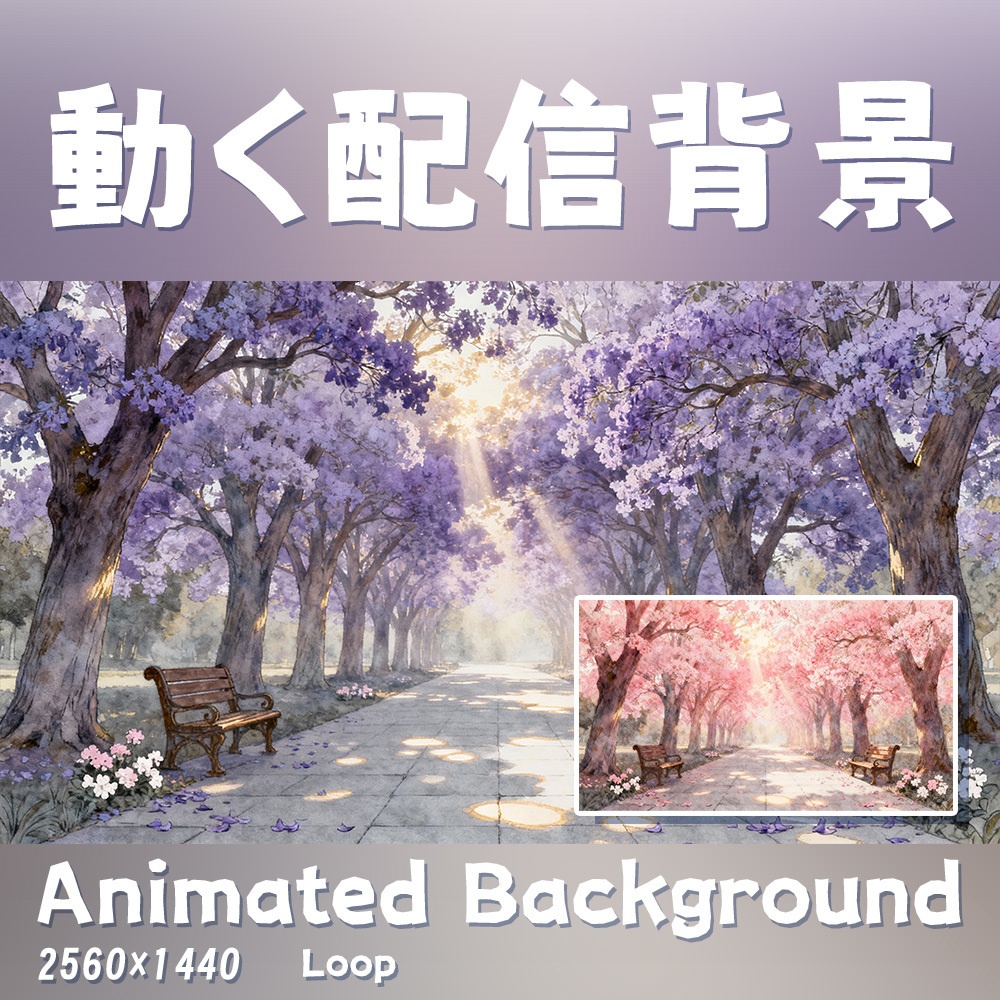 【動く背景・配信素材】風が通り過ぎる季節_Season of Wandering Wind（桜＆ジャカランダ） (Sakura & Jacaranda)