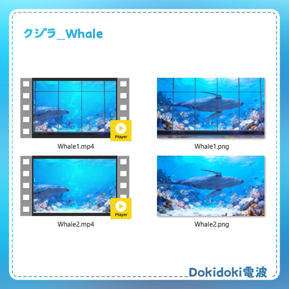 【動く背景・配信素材】海底、それとも水族館?_Under the sea or aquarium?