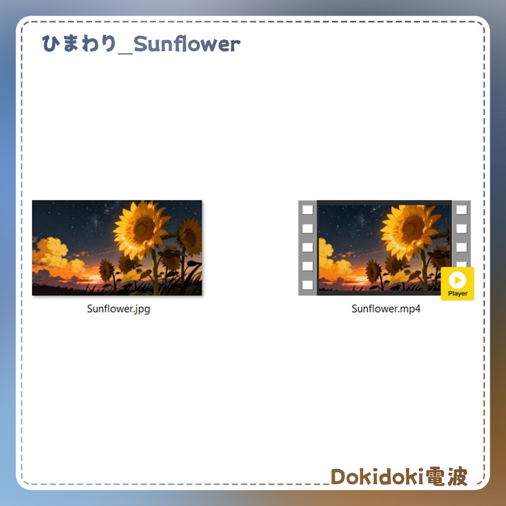 【動く背景・配信素材】はなのせかい|ひまわり&ひがんばな&あじさい&たんぽぽ_Flower Realm | Sunflower & Red Spider Lily & Hydrangea & Dandelion
