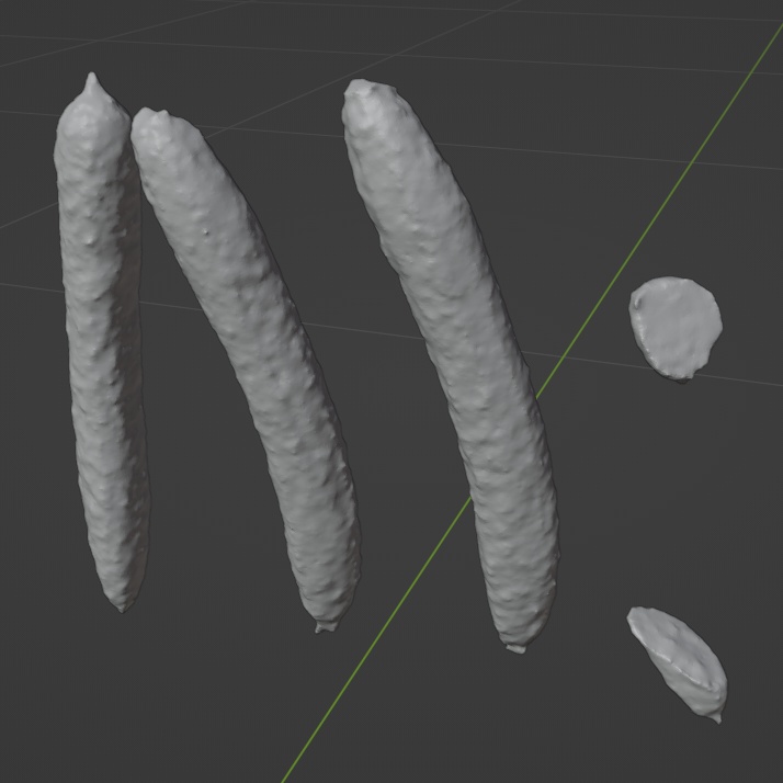 キュウリのGLB【3Dモデル】