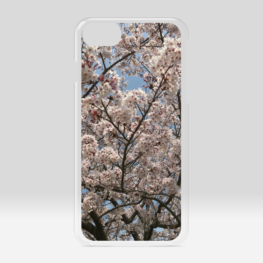 iPhoneケース‥さくら