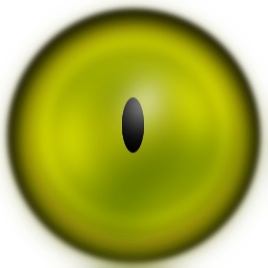 2 Rings VRChat Eye Texture