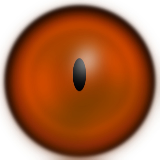 2 Rings VRChat Eye Texture