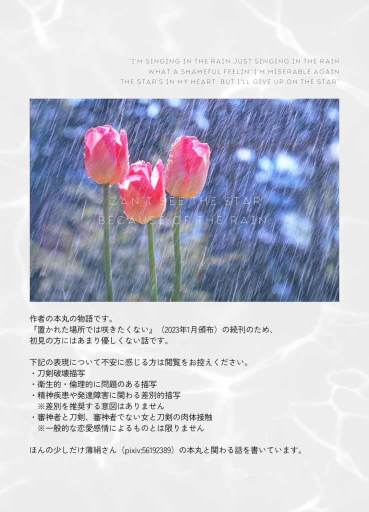 雨が降るから星は見えない