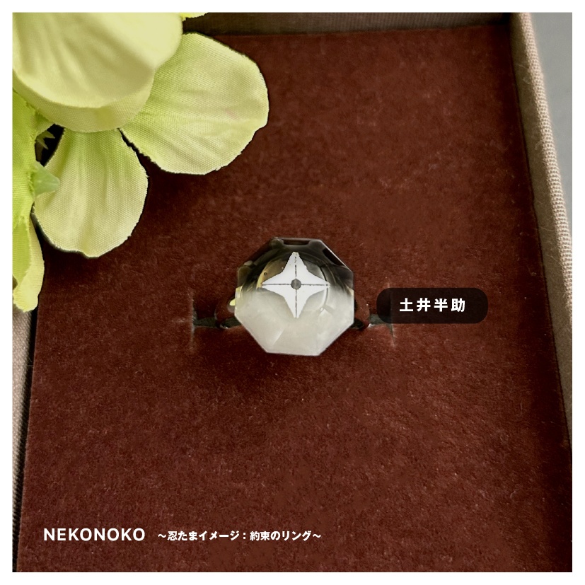 忍たまイメージ 約束のリング