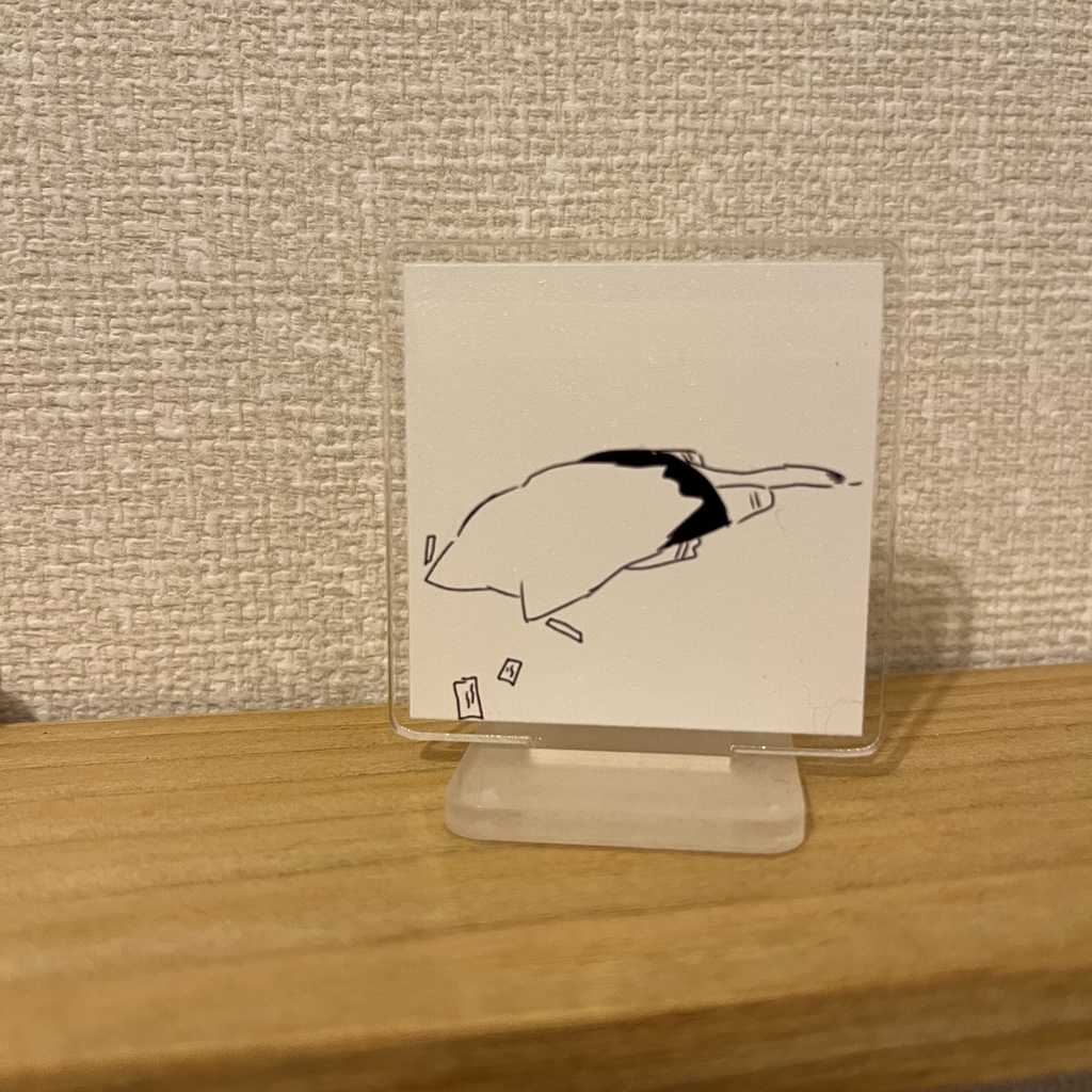 セト猫絶望②