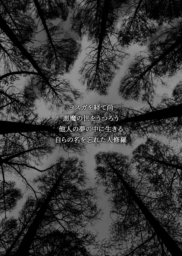 悪魔以上修羅未満(小説+イラスト)