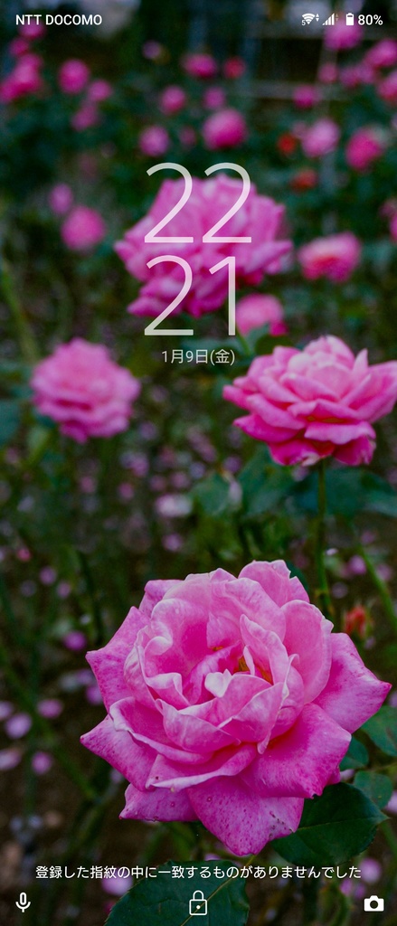 No.２｜3種類のバラのスマホ壁紙セット｜Rose Wallpaper Collection（高解像度・3枚組）