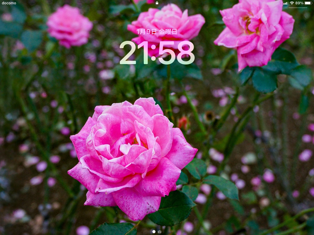 No.2|3種類のバラのスマホ壁紙セット|Rose Wallpaper Collection(高解像度・3枚組)