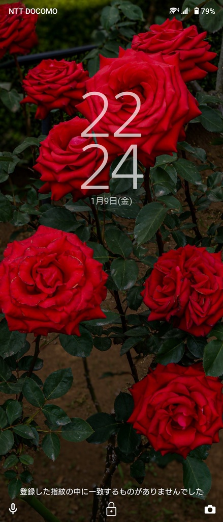 No.2|3種類のバラのスマホ壁紙セット|Rose Wallpaper Collection(高解像度・3枚組)