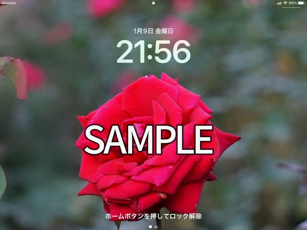 【無料サンプル】3サイズ収録|バラのスマホ壁紙
