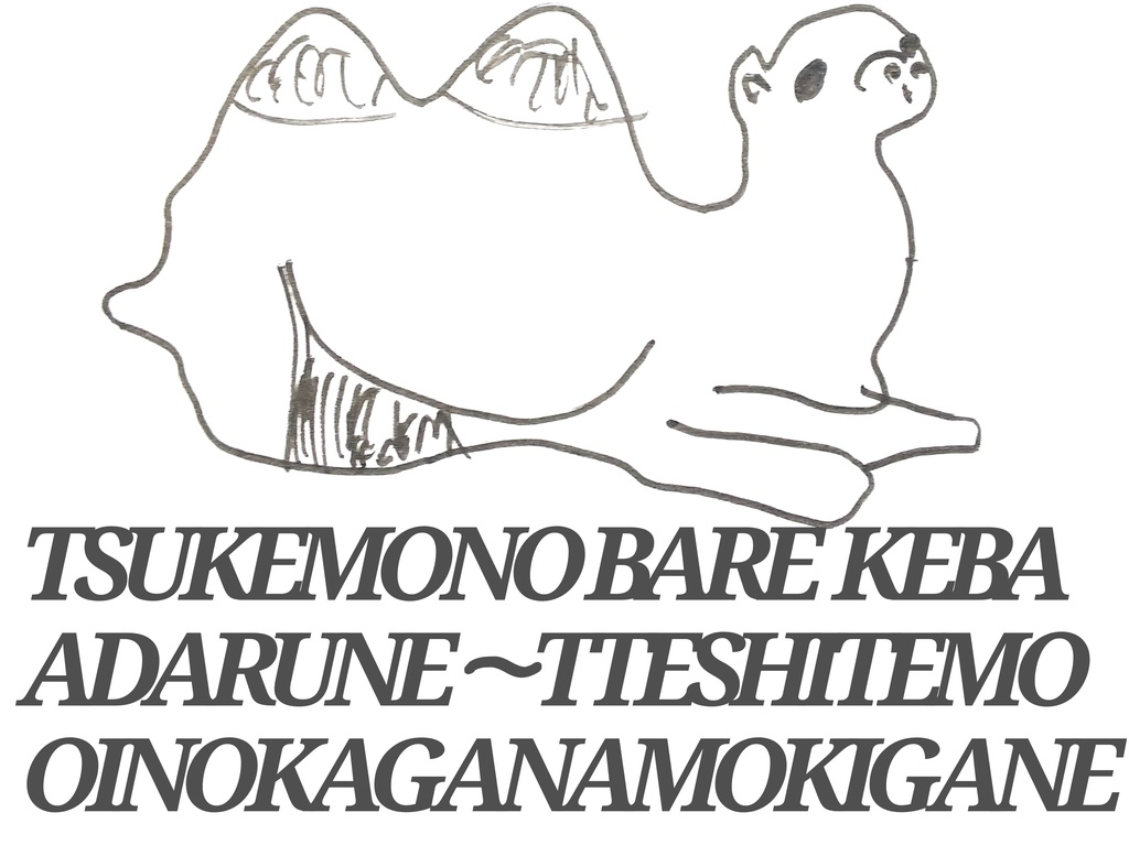 Tシャツ(背面・ラクダ)