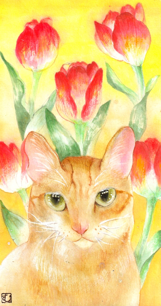 花言葉一筆箋シリーズ 赤いチューリップと猫