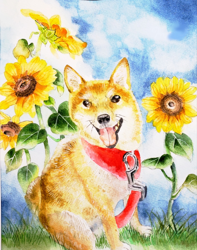 「夏の絵はがきセット」