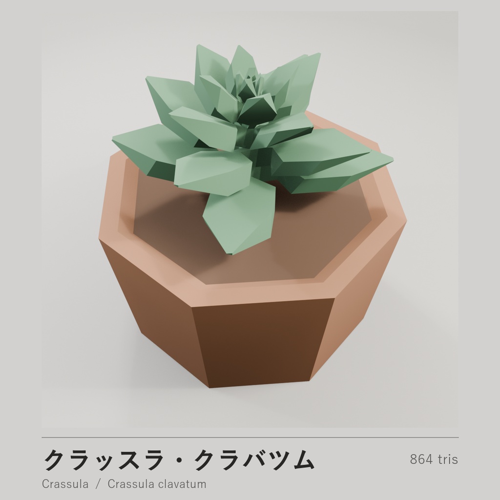 ローポリ多肉植物 10点セット|VRChat・Unity対応(.unitypackage 同梱)