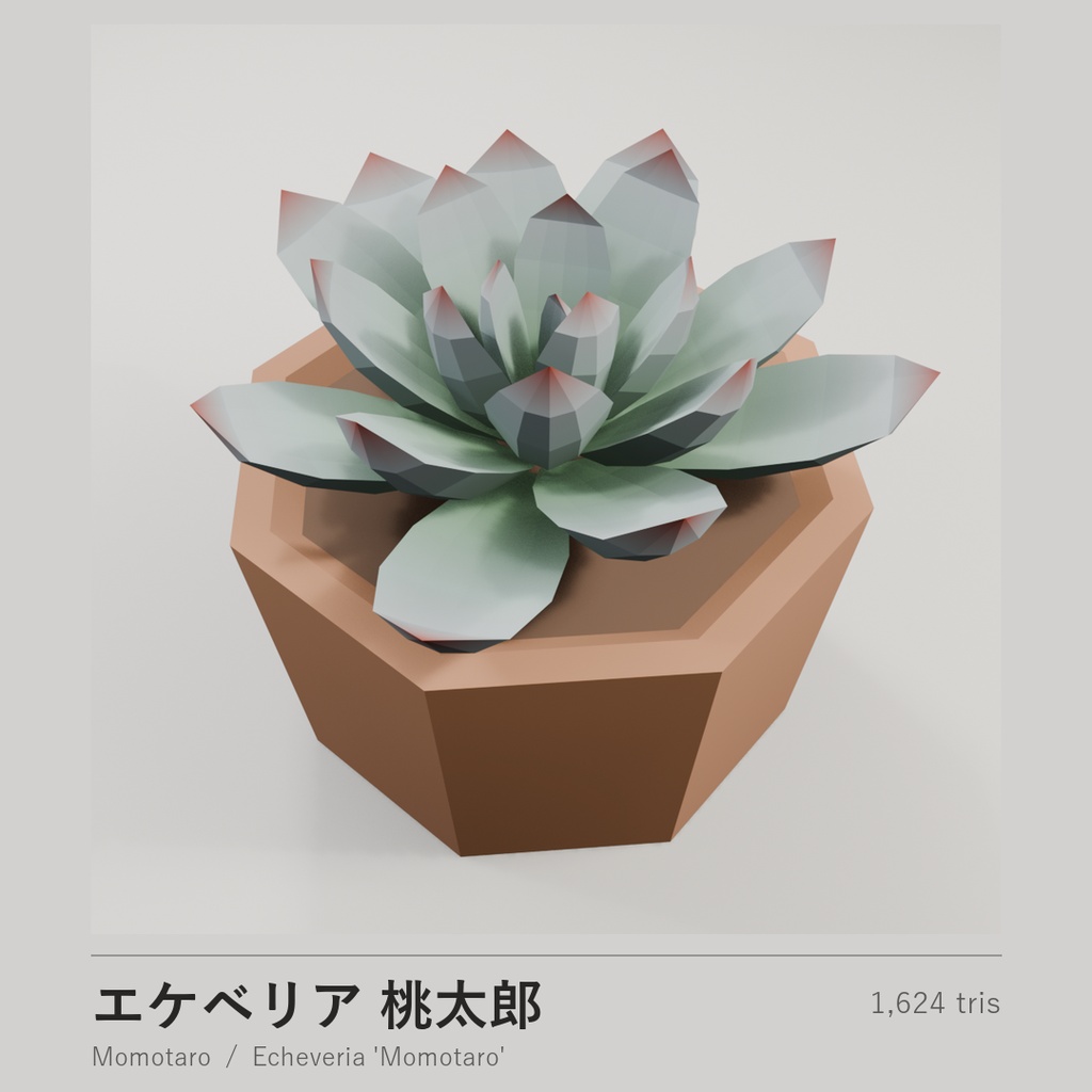 ローポリ多肉植物 10点セット|VRChat・Unity対応(.unitypackage 同梱)