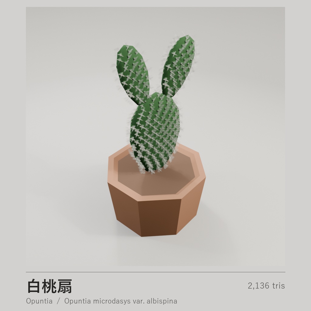 ローポリ多肉植物 10点セット|VRChat・Unity対応(.unitypackage 同梱)