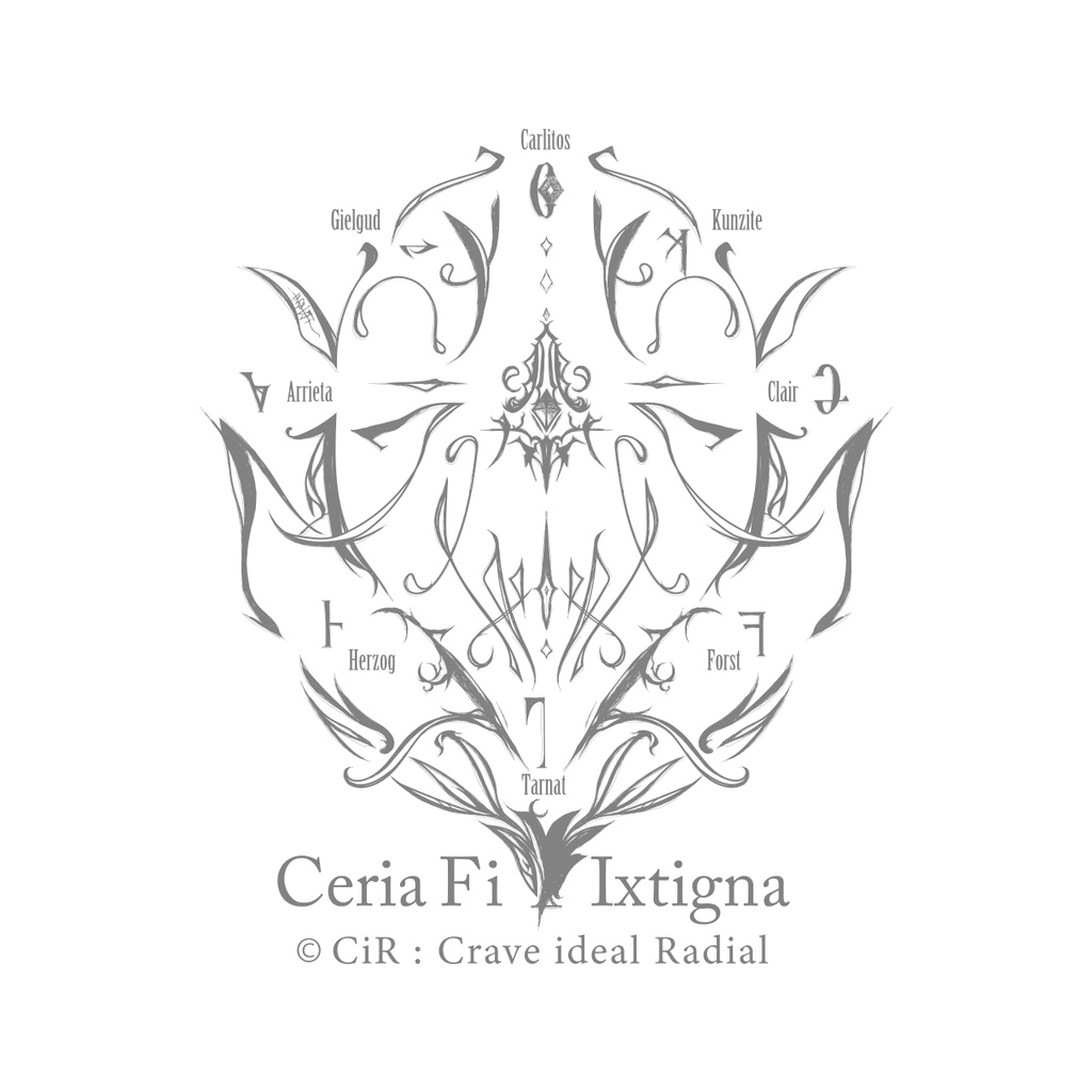 CfIXアクセサリーポーチ