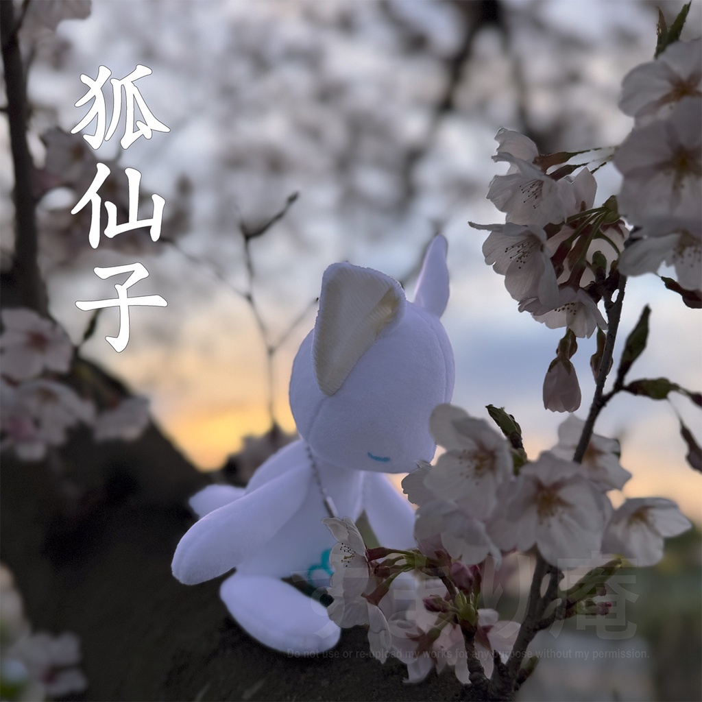 ぬいぐるみ写真で綴るおとぎ話「狐仙子」