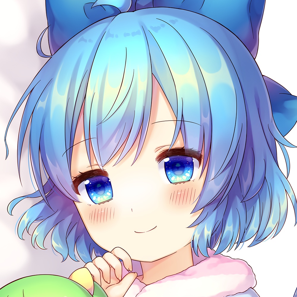 チルノ抱き枕カバー【coa】