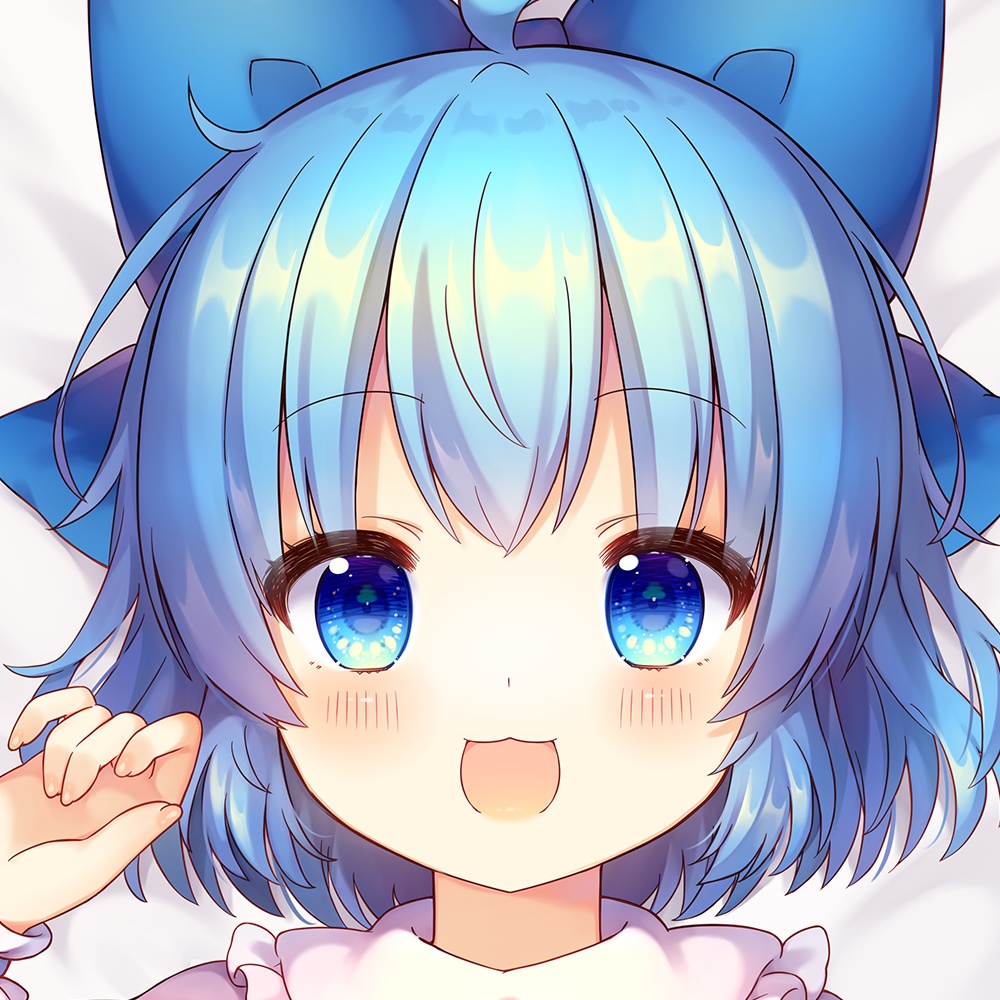 チルノ抱き枕カバー【coa】