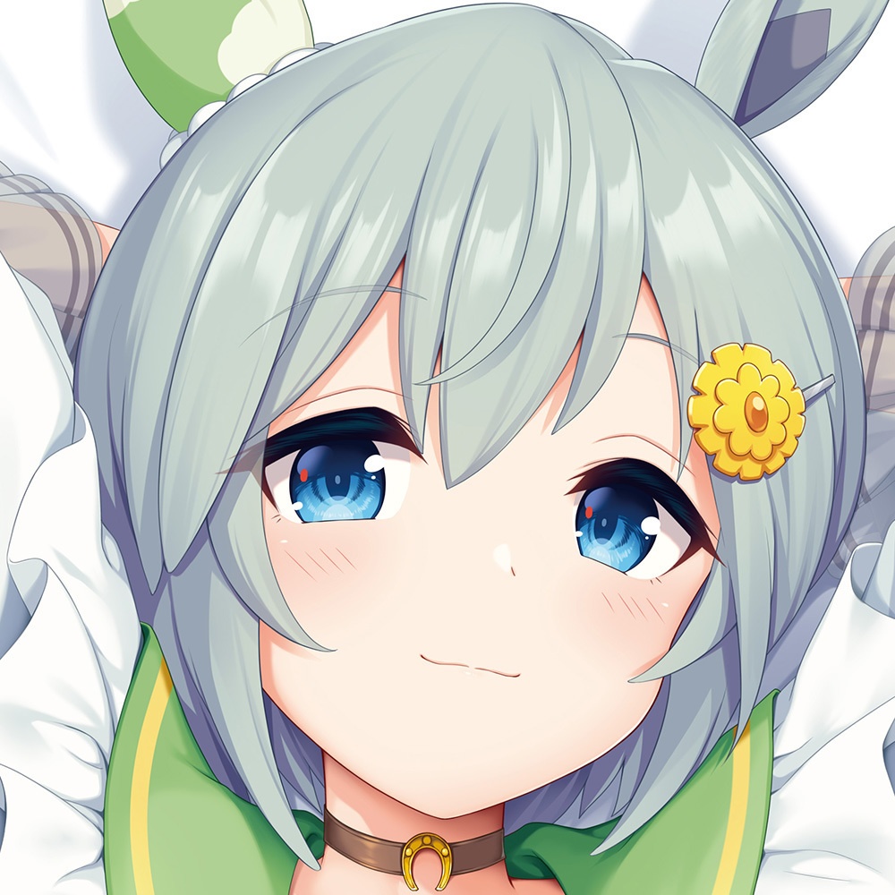 セイウンスカイ抱き枕カバーあおぐもver【んにゃら】