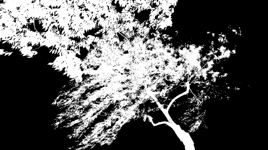 ざわざわ動く木の影APNG画像素材