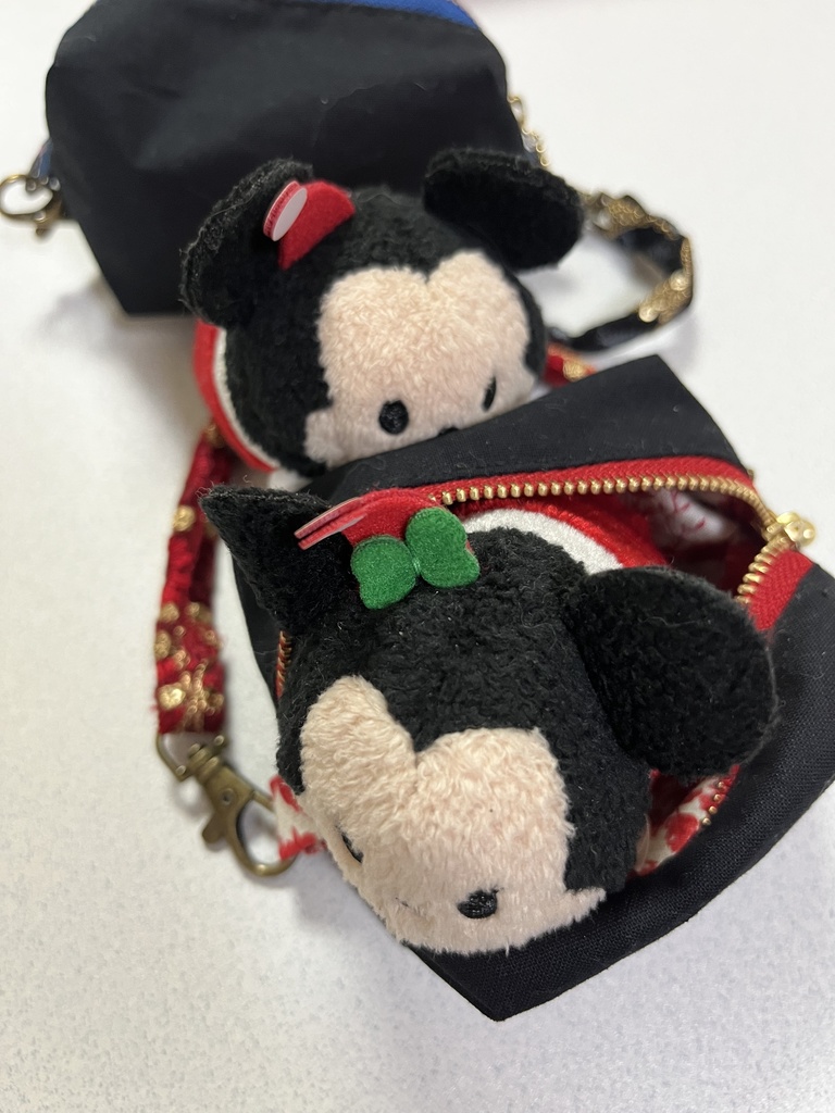 モチハコビポーチ