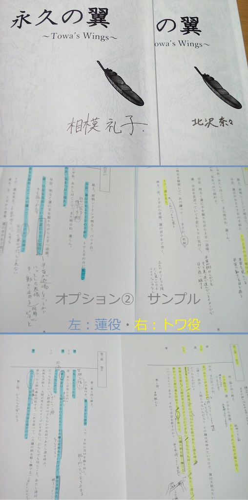 『永久の翼』台本版