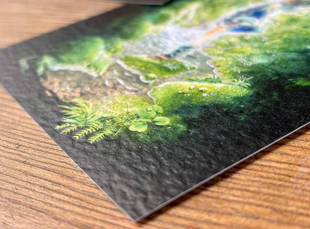 ポストカードセット