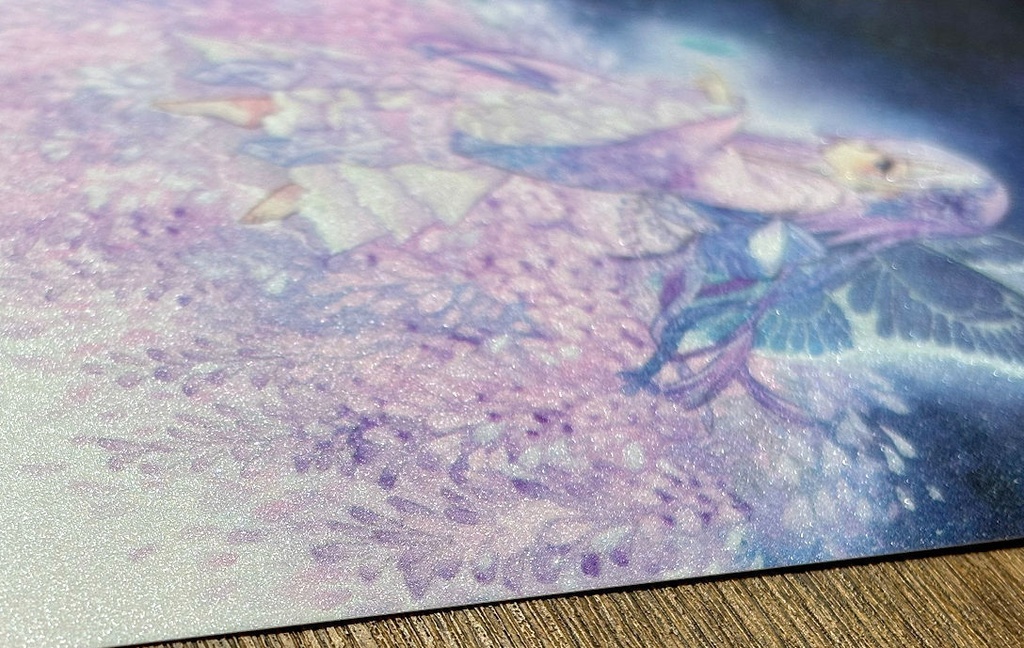 ポストカードセット