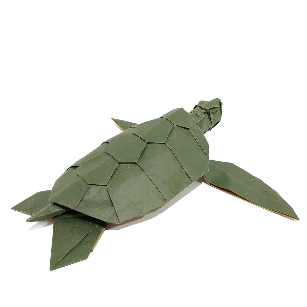 【展開図】ウミガメ【CP】