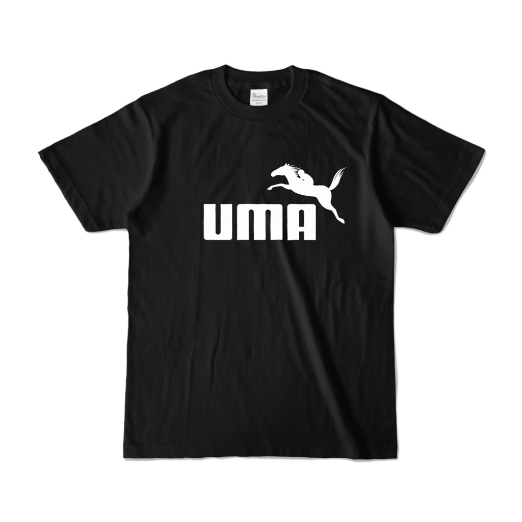 UMA障害レース白