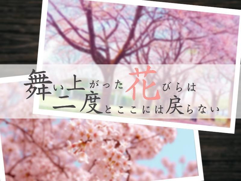 【CoCシナリオ】舞い上がった花びらは二度とここには戻らない