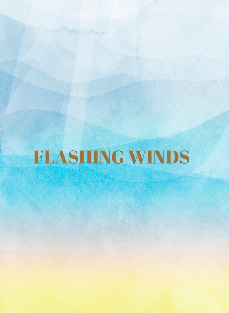 FLASHING WINDS