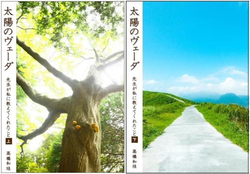 太陽のヴェーダ 先生が私に教えてくれたこと(上下巻セット)