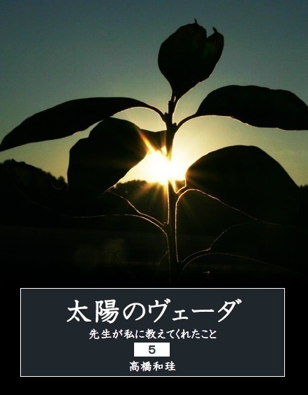 太陽のヴェーダ 先生が私に教えてくれたこと【5】
