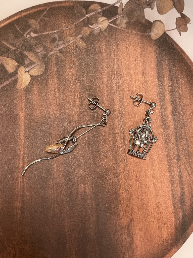 狭い鳥籠に囚われた聖女のピアス