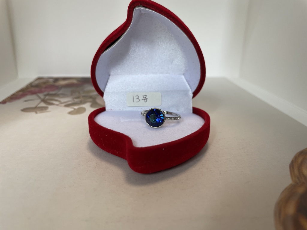 朝と夜のリング（13号）