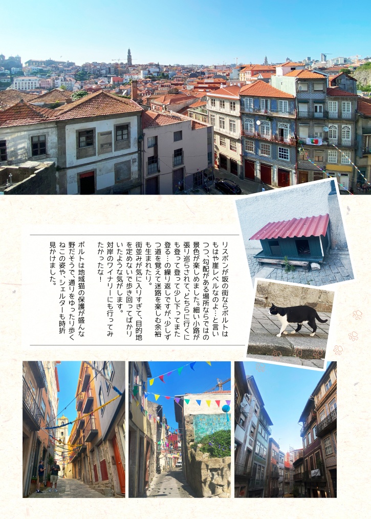 ピコピコ!! ポルトガル10日間