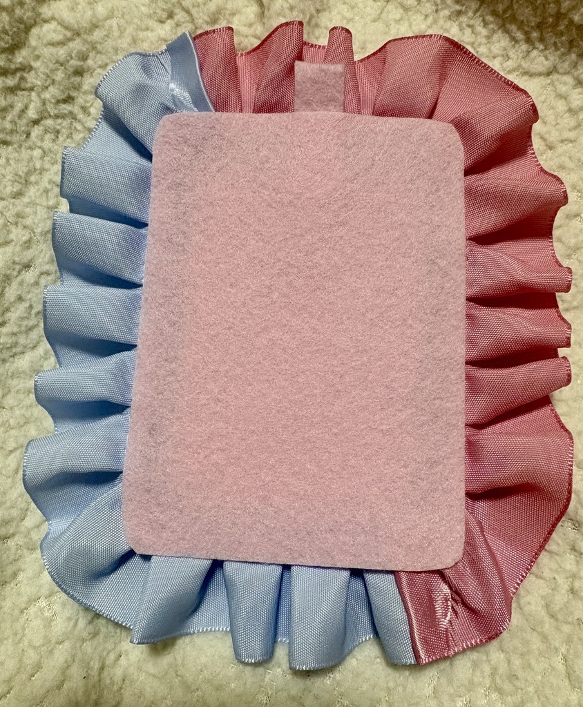 硬質 デコトレカケース
