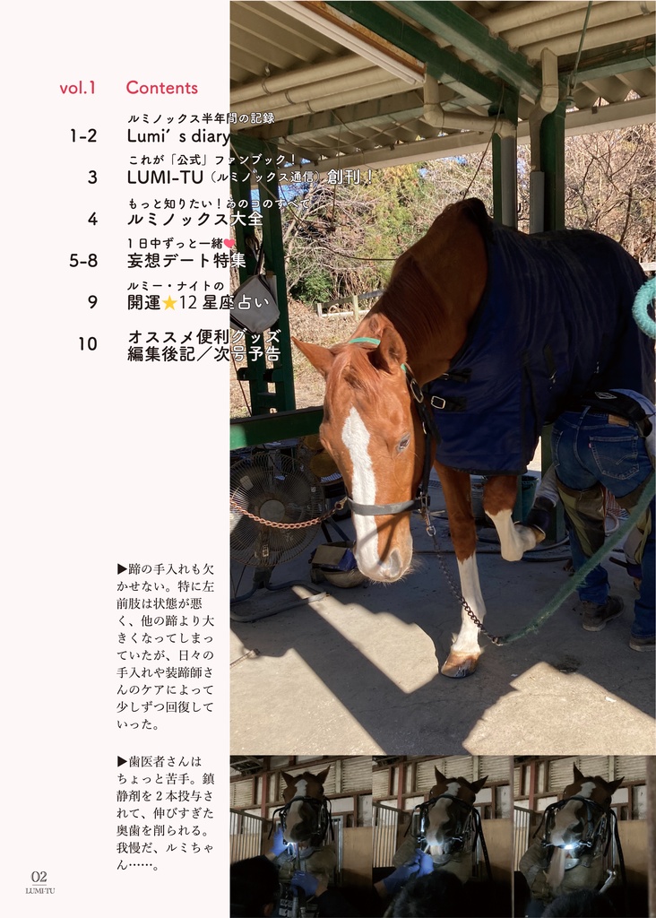 LUMI-TU(ルミノックス通信)vol.1