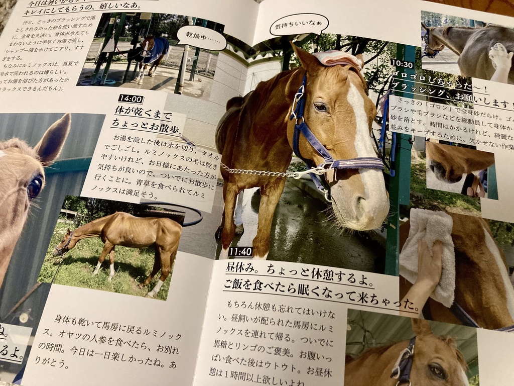 LUMI-TU(ルミノックス通信)vol.1