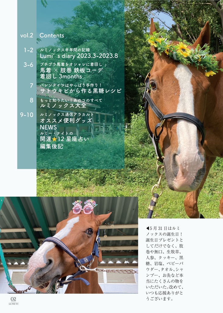 LUMI-TU(ルミノックス通信)vol.2